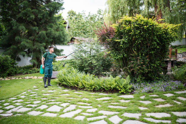 Best Affordable Pest Control Services  in Seyur, MO