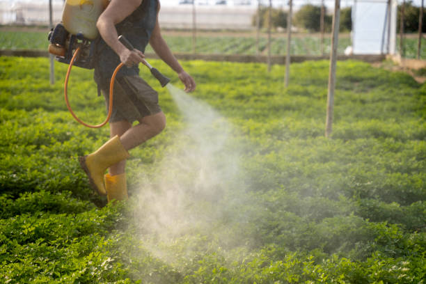Best Best Pest Control Companies  in Seyur, MO
