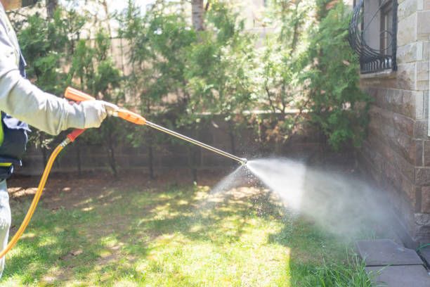 Best Pest Inspection Near Me  in Seyur, MO