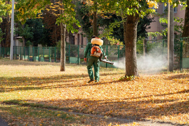 Best Pest Inspection Near Me  in Seyur, MO