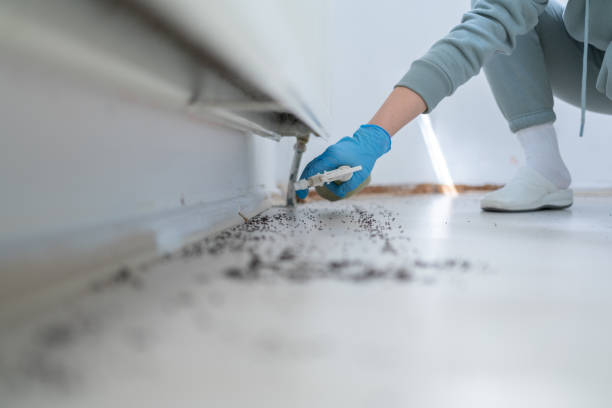 Best Exterminator Services  in Seyur, MO